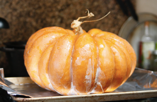 Illustration for article titled Let's squish out some squash recipes